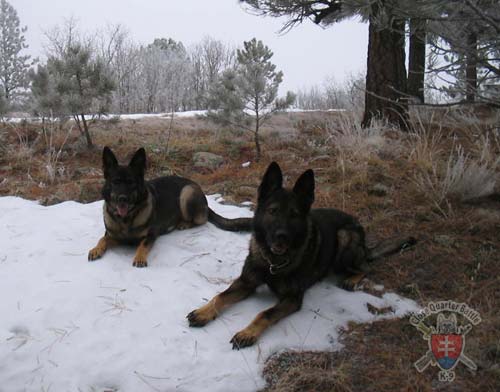 G Ria Lasmon - GerdesHaus German Shepherds - Breeder & Trainer