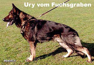 Ury vom Fuchsgraben